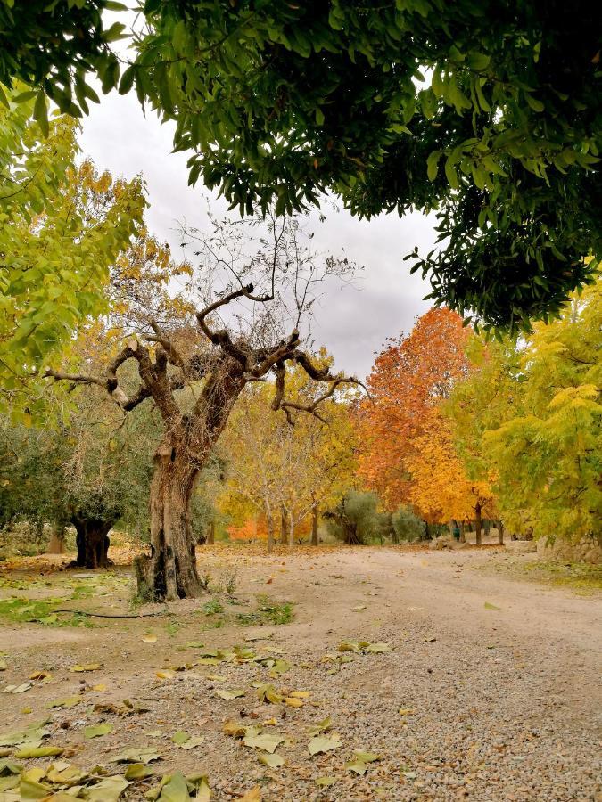 Finca La Celada Pension Moratalla  Buitenkant foto