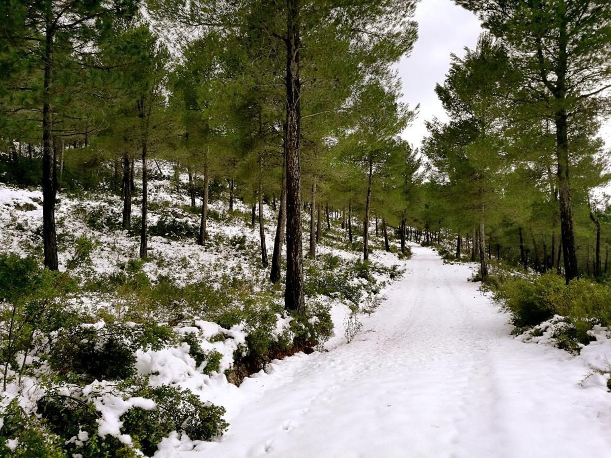 Finca La Celada Pension Moratalla  Buitenkant foto