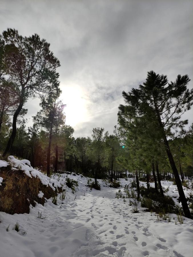 Finca La Celada Pension Moratalla  Buitenkant foto