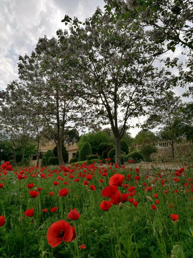 Finca La Celada Pension Moratalla  Buitenkant foto